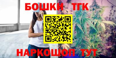 крисы Баксан
