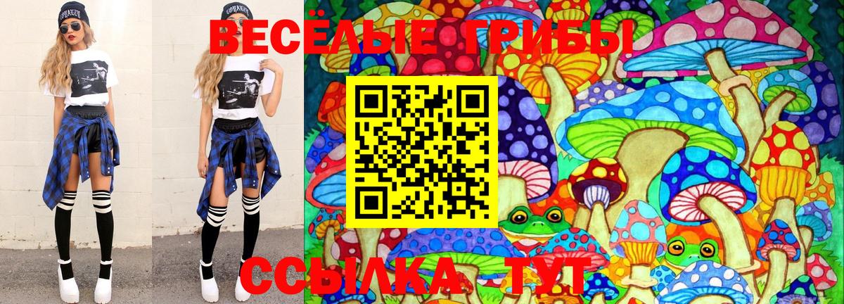Галлюциногенные грибы Cubensis  магазин  наркотиков  Вход с VPN  Дубна  Галлюциногенные грибы Psilocybe 