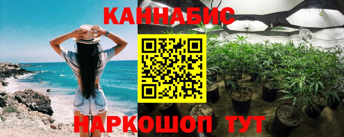 Шишки марихуана сатива Дубна